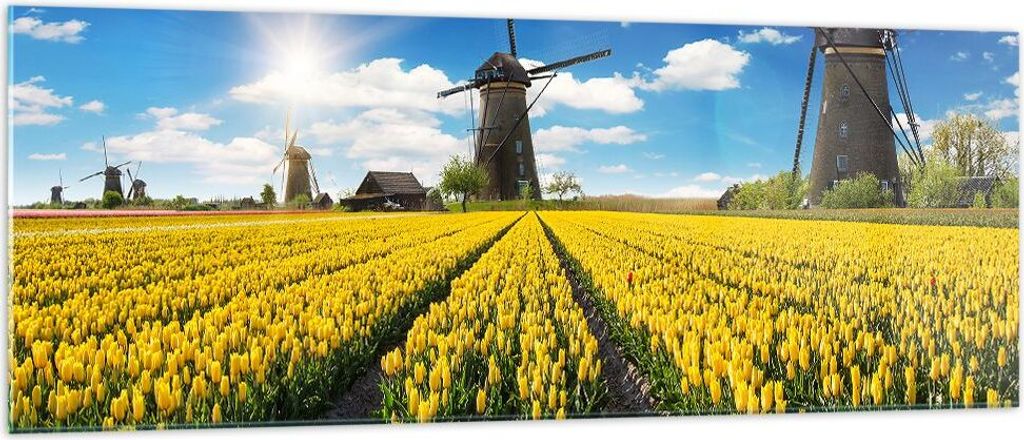 Bilder auf glas - Tulpen Windmühle Wiese Landschaft - 140x50cm - Glasbilder - Wandbilder - Kunstdruck - Wanddekoration aus Glas - Glas Bilder - Wa...