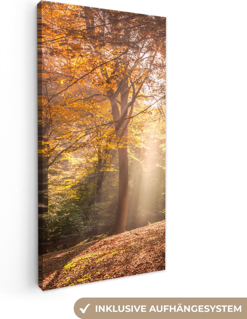 MuchoWow - Leinwandbilder - Herbst - Licht - Wald, Wandbild, Wanddeko Bilder Wohnzimmer, 20x40 cm