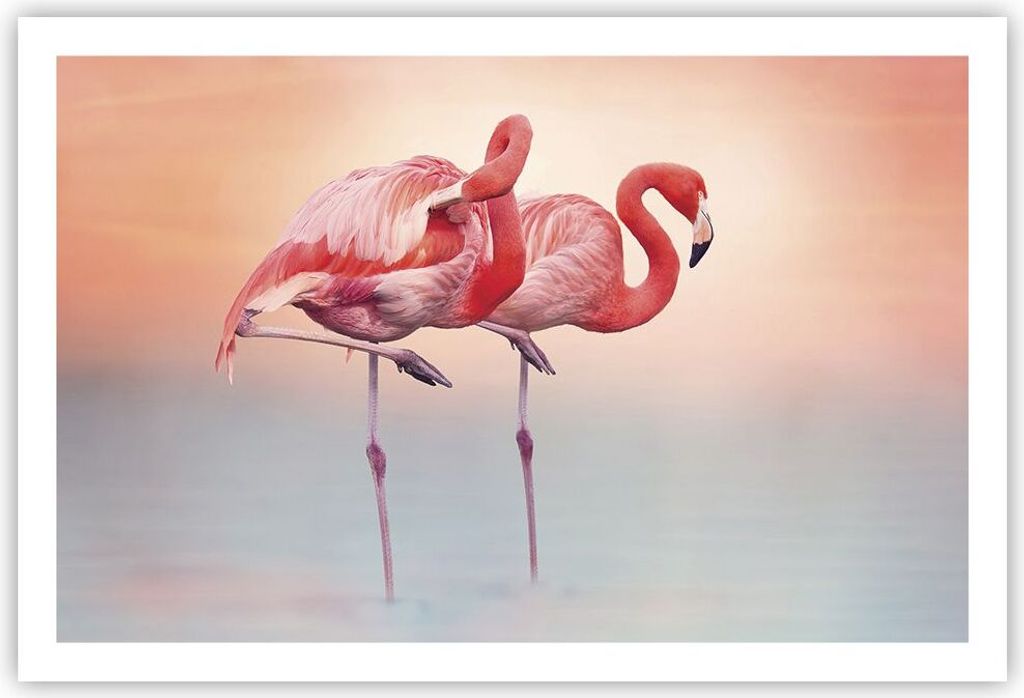 Poster - Poster ohne Rahmen - Flamingos Exotik Vögel - 91,5x61 cm - Wand Bild - Wanddeko - Wandbilder - Kunstposter - Wandposter - Bilder - Kunstd...