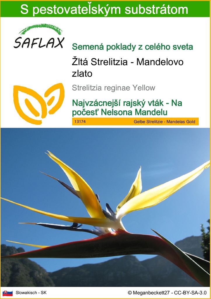 SAFLAX - Žltá Strelitzia - Mandelovo zlato - Strelitzia Obrázok produktu 