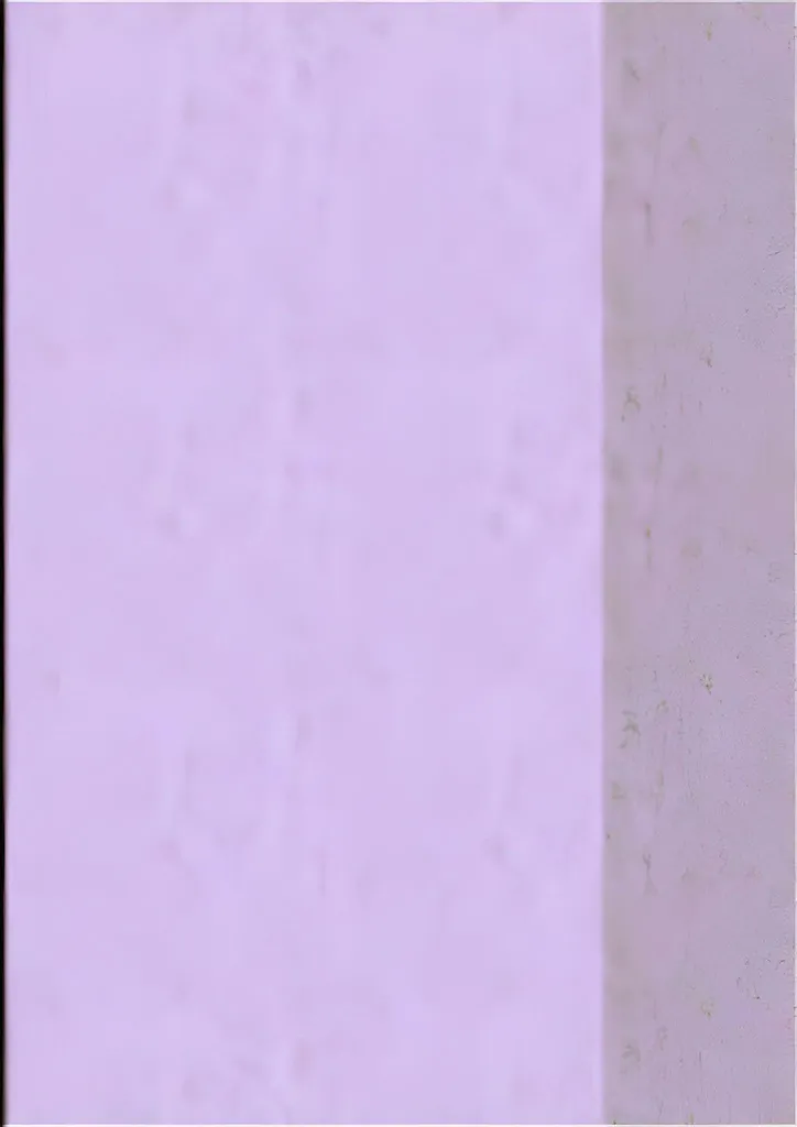 Pochette de classement A4 violette résistante et porte-document utile