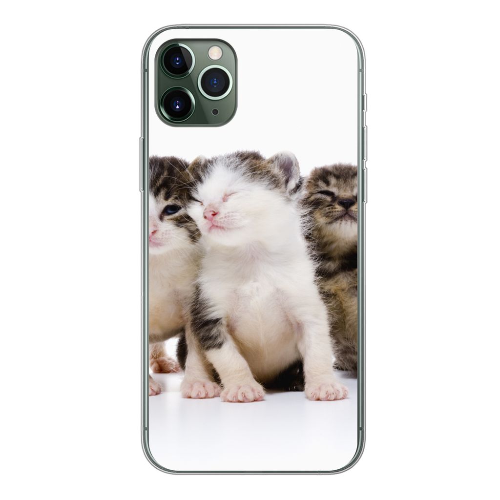 MuchoWow Handyhülle Schutzhülle Hülle für iPhone 11 Pro Max Katze - Haustiere - Fell - Porträt Silikon Softcase Handy Hülle - Schutz