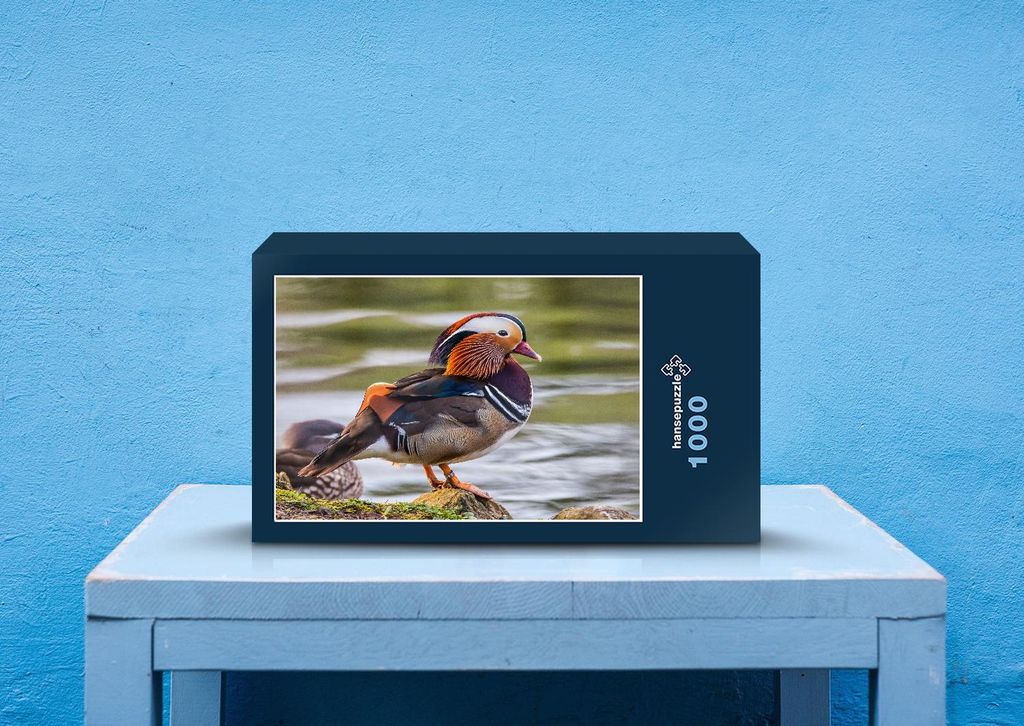 hansepuzzle 25624 - Ente Puzzle, 1000 Teile, Tierwelt, 60,0 x 46,0cm mit hochwertiger Aufbewahrung, Kartonbox und wiederverschließbarem Beutel