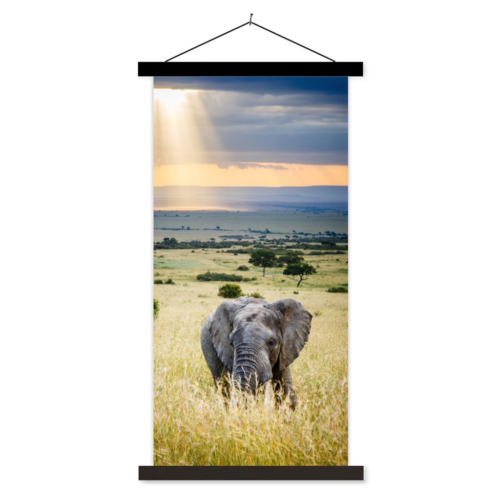 MuchoWow Textilposter Elefant - Tiere - Landschaft - Sonne - Natur 60x120 cm mit schwarzem Rahmen - Magnete