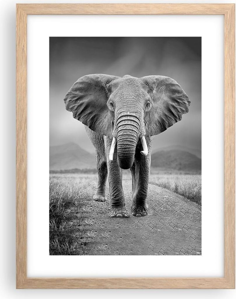 Gerahmtes Poster - Rahmen in heller Eiche - Elefant Wildnis Produktbild 