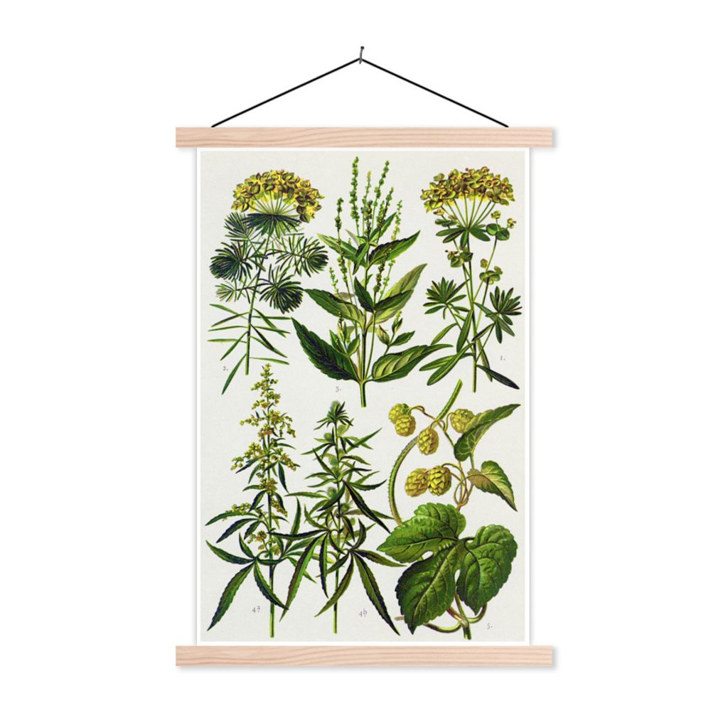 MuchoWow Textilposter Gelb illustrierte Pflanzen 40x60 cm mit holzfarbenen Rahmen - Poster