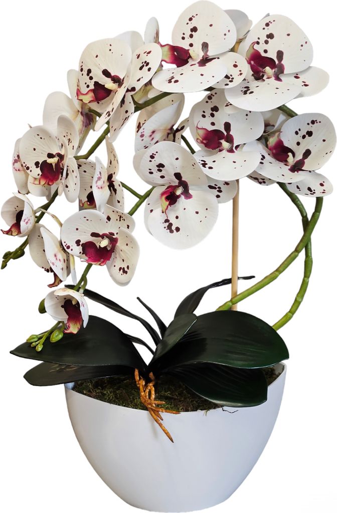 Orchidea artificiale Damich, fiori, in gomma, 2pgk Immagine del prodotto 
