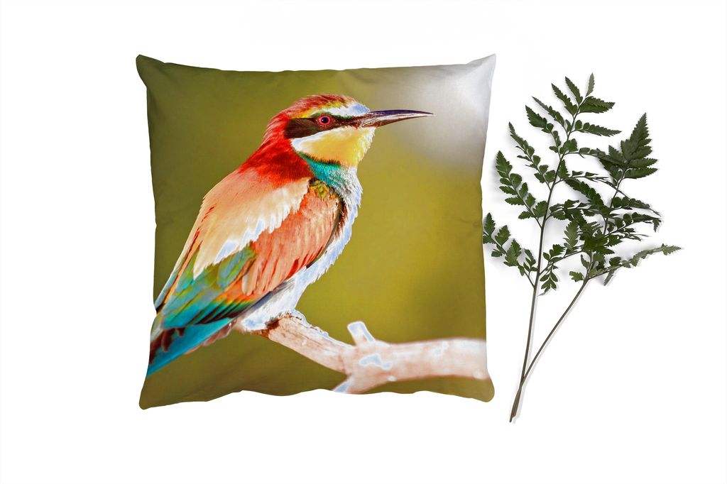 MuchoWow Zierkissen Sofakissen Wohnzimmer Dekokissen 40x40 cm Vögel - Bienenfresser - Regenbogen - Tiere - Foto Kissen - Schlafzimmer Dekoration