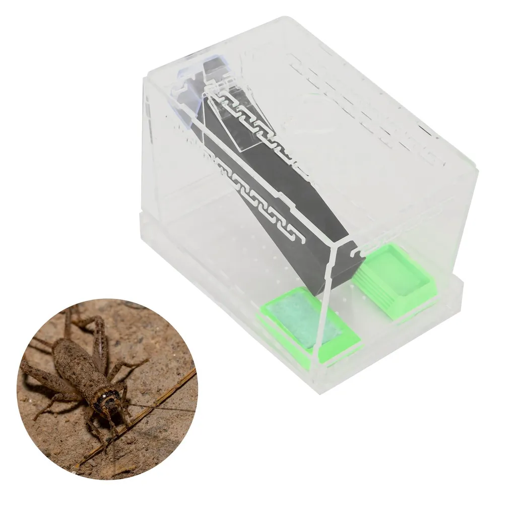 Kit élevage de grillons Acrylique Cricket Keeper avec tubes de 15cm