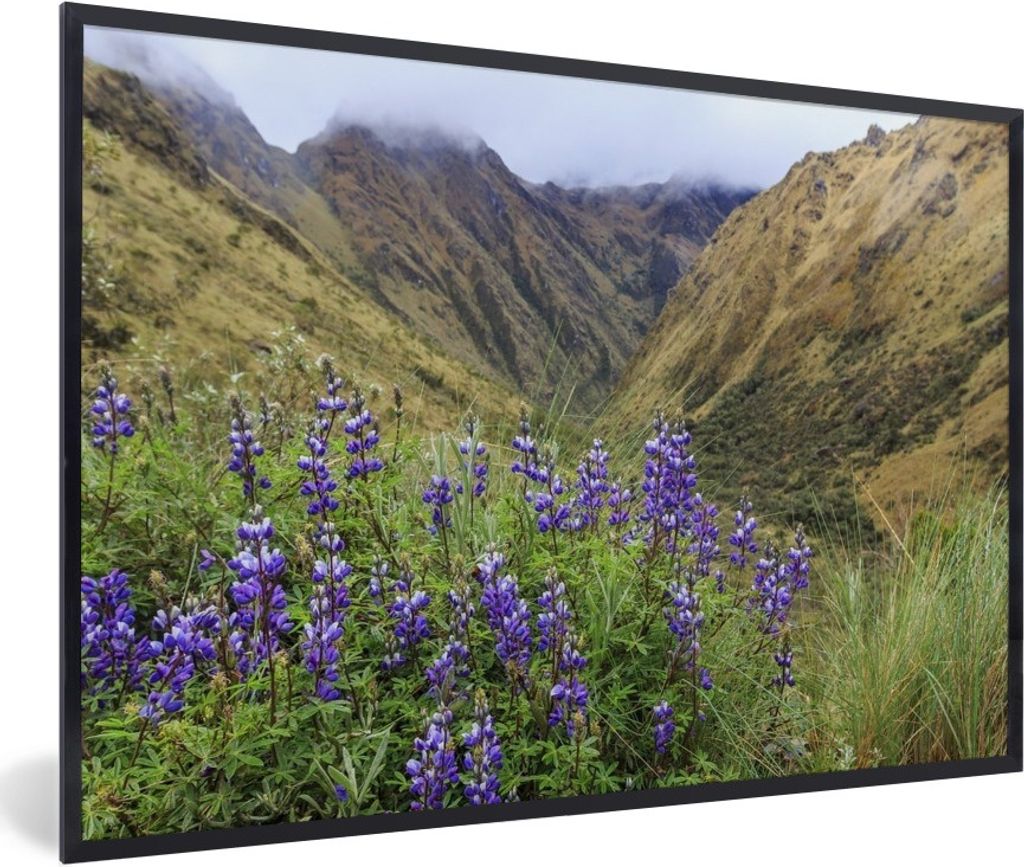 MuchoWow Gerahmtes Poster Inka-Bergpfad nach Machu Picchu mit lila Blumen Peru 90x60 cm - Poster mit Schwarzem Bilderrahmen Wandposter Rahmen Fot...