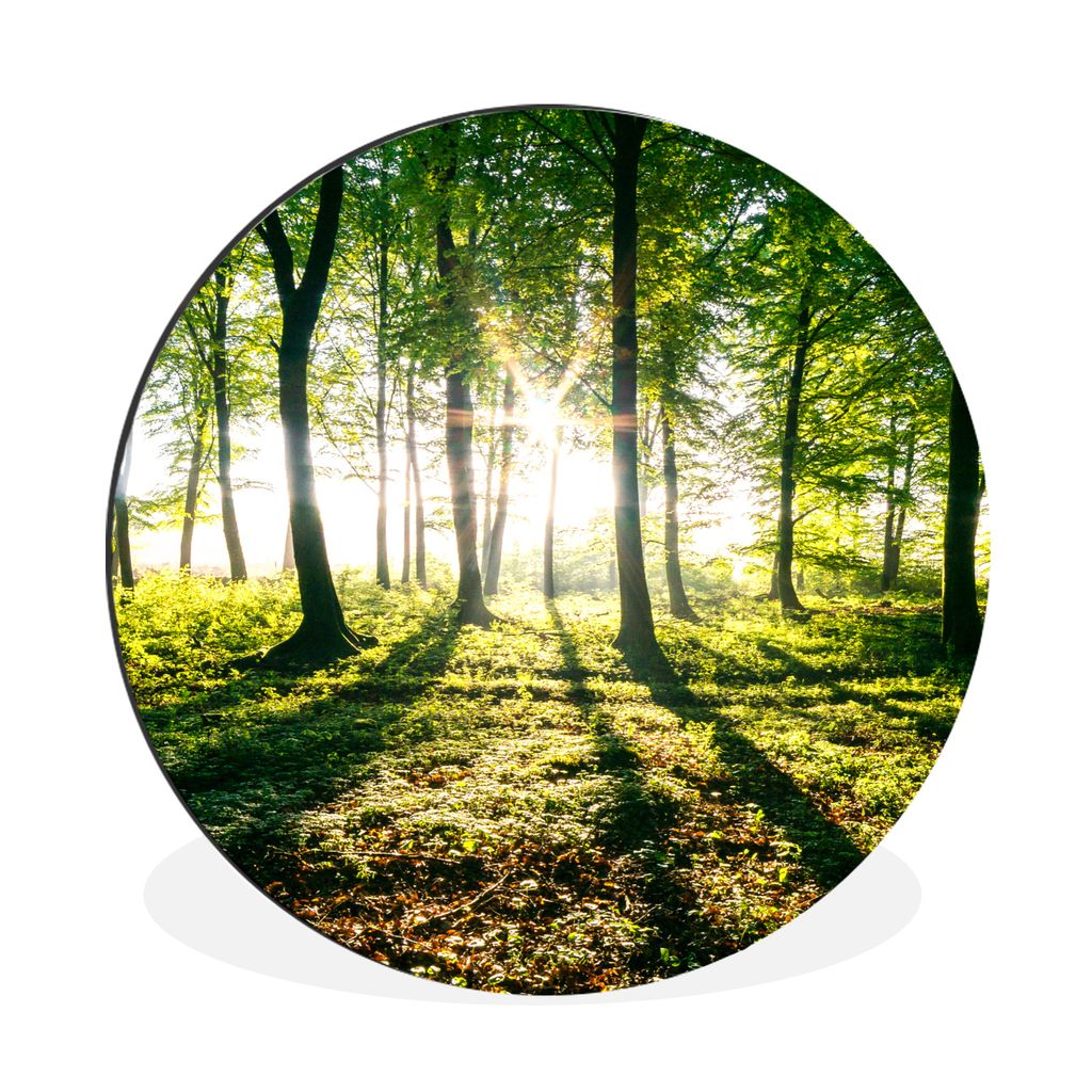 MuchoWow Aluminium Wandkreis Die Sonne bricht durch die Wälder des Nationalparks Söderåsen in Schweden Ø 60 cm Wanddeko Modern Wohnzimmer - W...