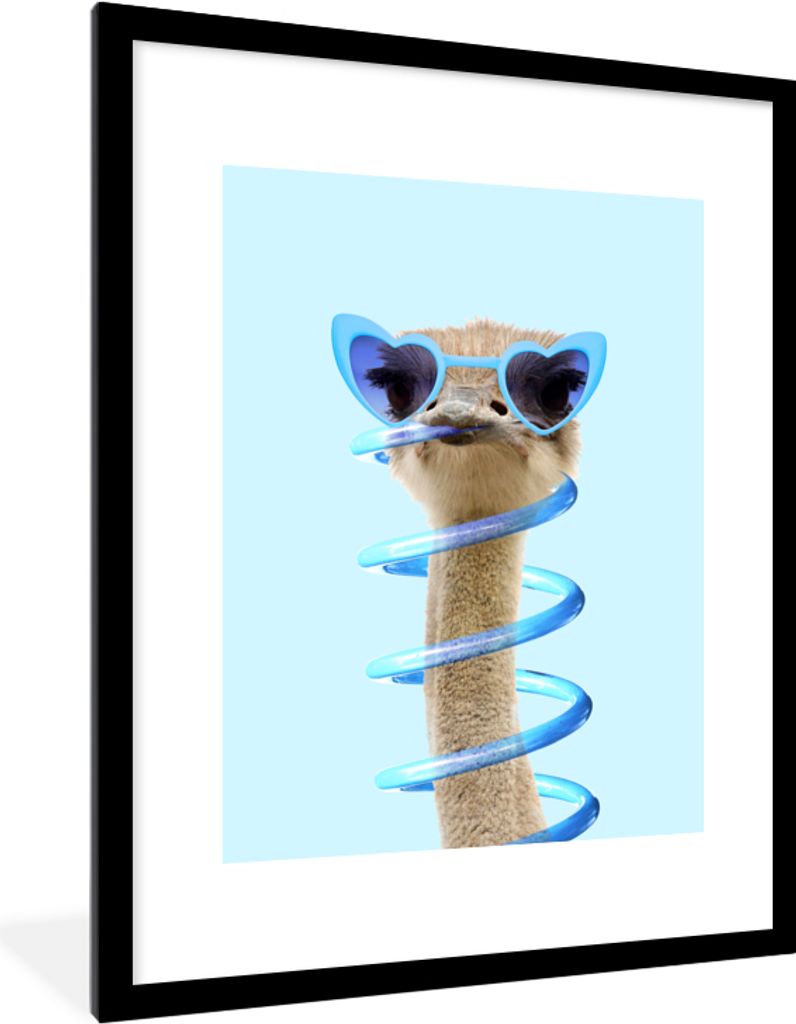 MuchoWow Gerahmtes Poster Strauß - Sonnenbrille - Blau - Tiere 60x80 cm - Poster mit Schwarzem Bilderrahmen Wandposter Rahmen Foto Bilder - Wohn...