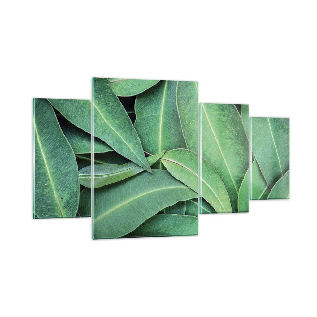 Bilder auf glas - 4 Teile - Blätter Eukalyptus Natur - 160x90cm - Glasbilder - Wandbilder - Bilder - zum Aufhängen bereit - Wanddekoration aus Gl...