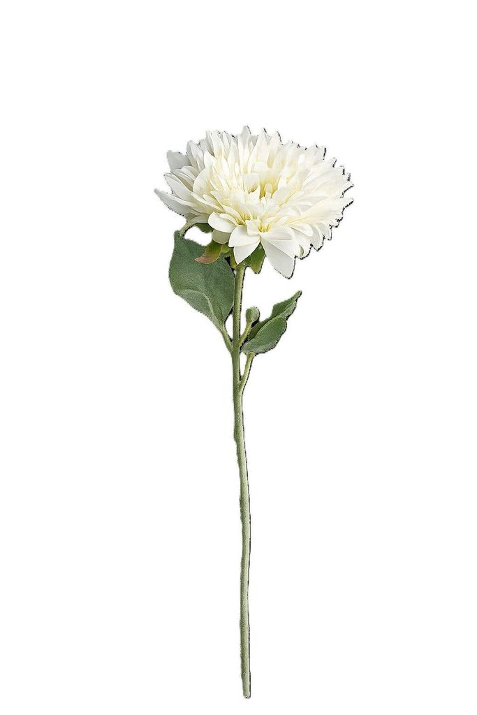 2474U Kunststielblume Aster, Künstliche Blume Weiß, 40 cm Produktbild 