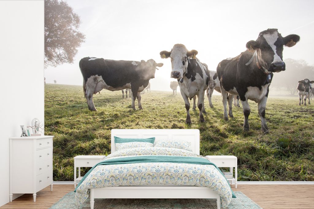 MuchoWow Fototapete für Wohnzimmer oder Schlafzimmer Wandtapete Vinyl Motivtapete Kühe - Licht - Gras - Tiere - 390x260 cm - Papiertapete