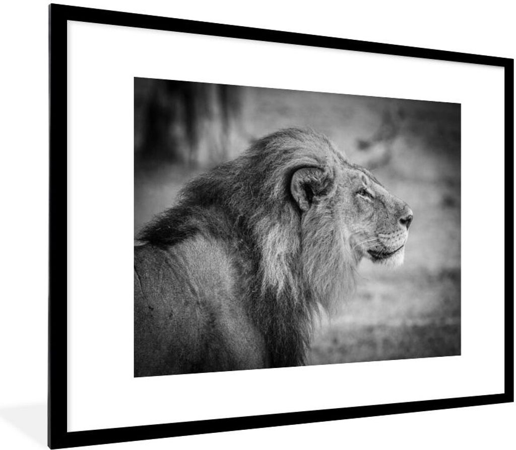 MuchoWow Gerahmtes Poster Löwe - Gras - Jagen 80x60 cm - Poster mit Schwarzem Bilderrahmen Wandposter Rahmen Foto Bilder - Schlafzimmer-Dekorati...