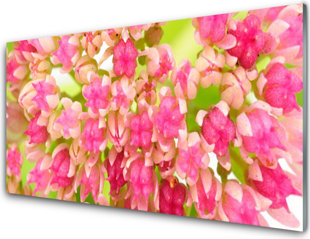 Küchenrückwand aus Glas 100x50cm Spritzschutz Blüten Blumen Pflanzen
