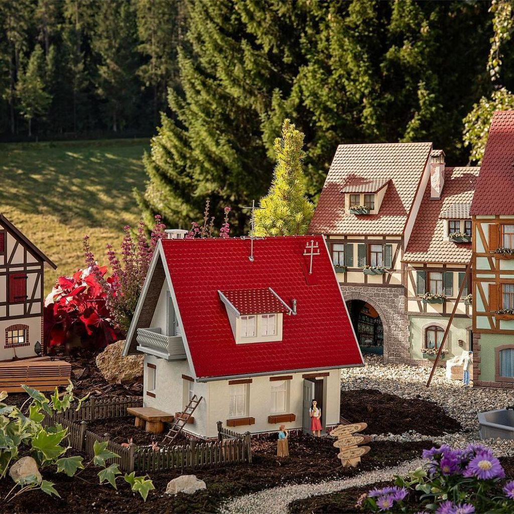 Pola G 331092 - G - Einfamilienhaus - Neu