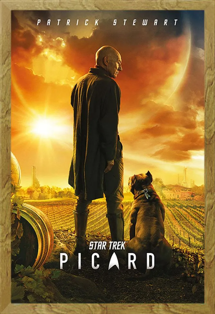 Star Trek - Poster - Picard Number One + cornice rimovibile, Shinsuke® Maxi MDF oak, vetro acrilico