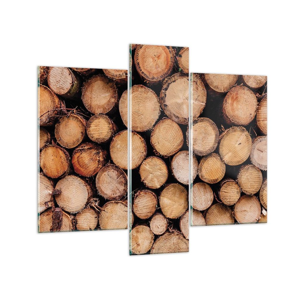 Bilder auf glas - 3 Teile - Holz Baumstämme Stämme - 95x80cm - Glasbilder - Wandbilder - Bilder - zum Aufhängen bereit - Wanddekoration aus Glas...