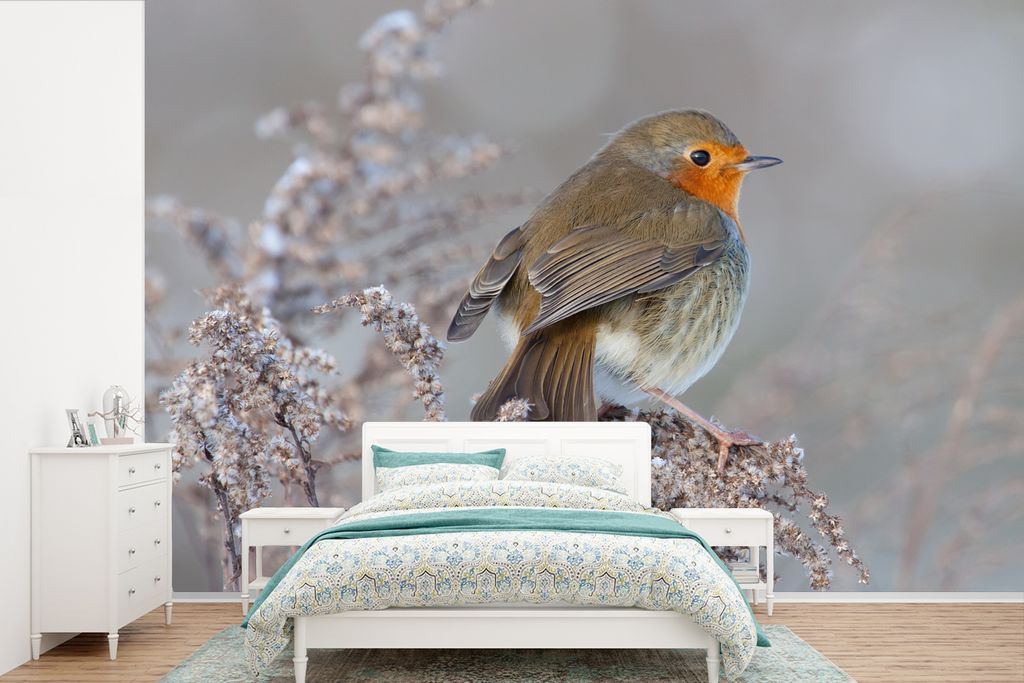 MuchoWow Fototapete für Wohnzimmer oder Schlafzimmer Wandtapete Vinyl Motivtapete Winter - Rotkehlchen - Vogel - 420x280 cm - Zimmer für Kinder