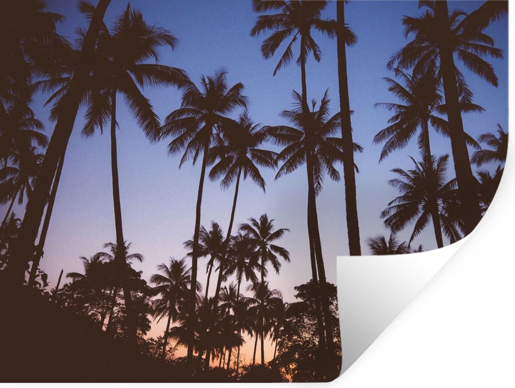 MuchoWow Wandtattoo Wandsticker Wandaufkleber Palme - Tropisch - Sommer - Himmel 120x90 cm Selbstklebend und Repositionierbar - Aufkleber