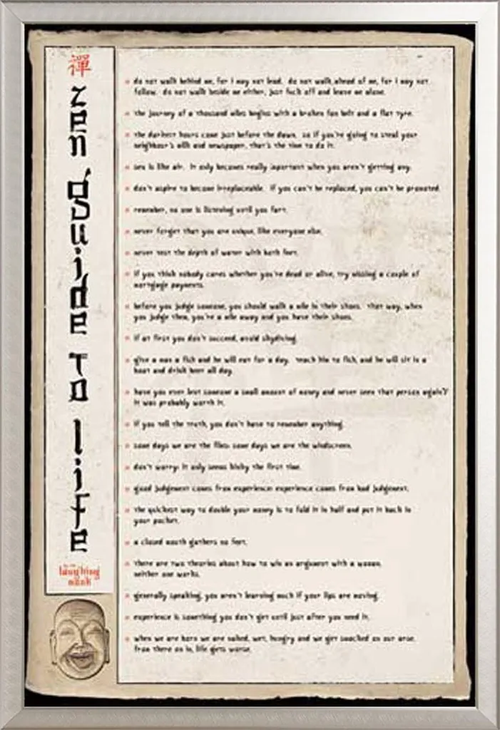 Fun - Poster - Guida Zen alla vita + cornice rimovibile, Shinsuke® Maxi alluminio argento, vetro acrilico - 1