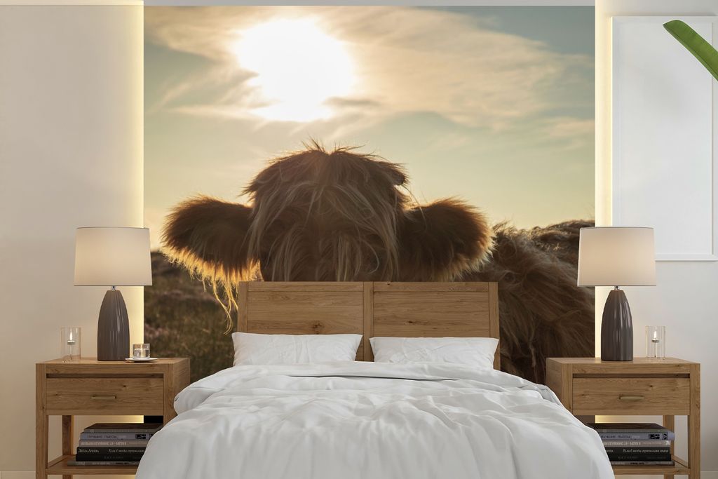 MuchoWow Fototapete für Wohnzimmer oder Schlafzimmer Wandtapete Vinyl Motivtapete Schottischer Highlander - Sonnenuntergang - Gras - 300x300 cm ...