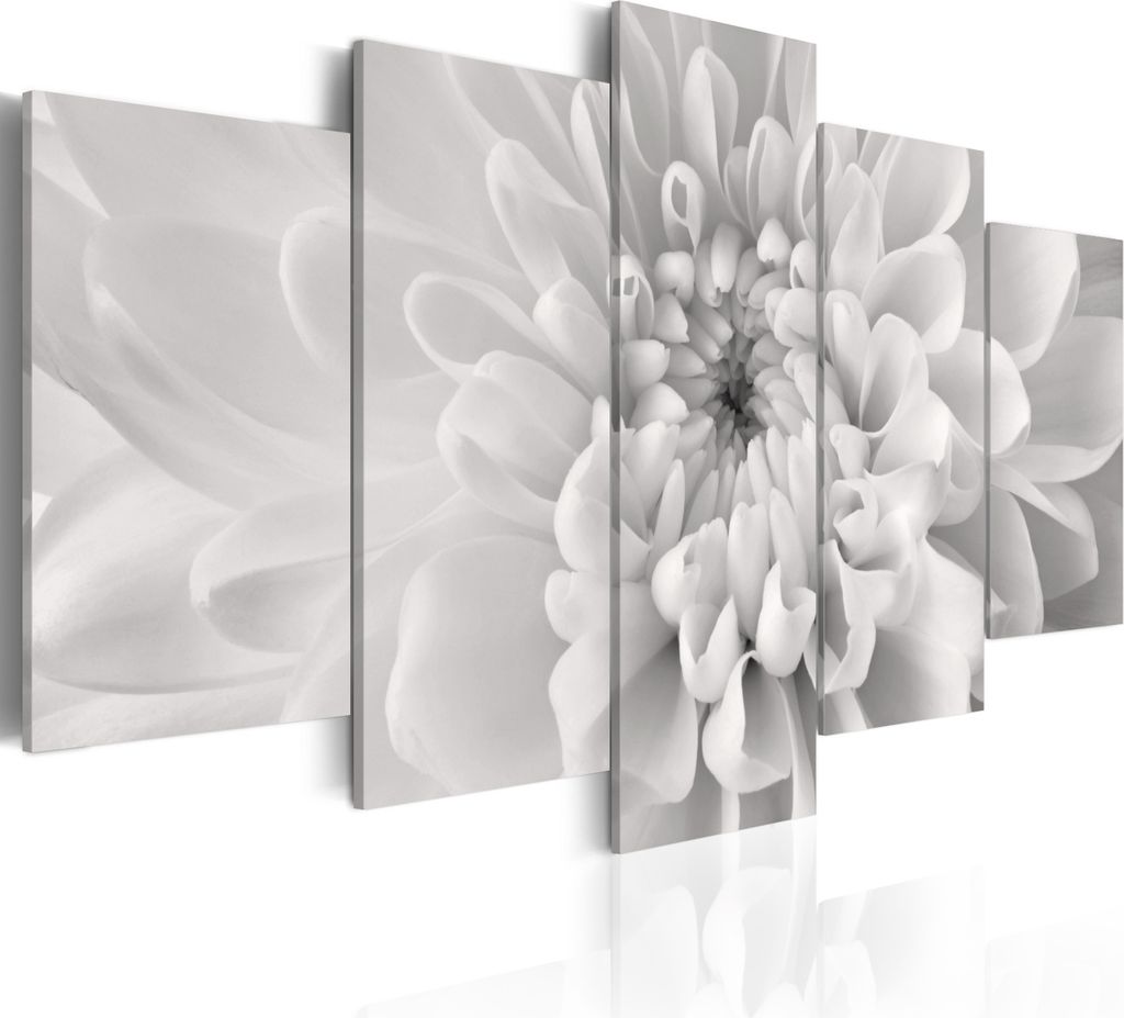 Modernes Wandbild 030210- 7 (100x50) - 5 Teilig Bilder Fotografie auf Vlies Leinwand Foto Bild Dekoration Wand Bilder Kunstdruck Blumen
