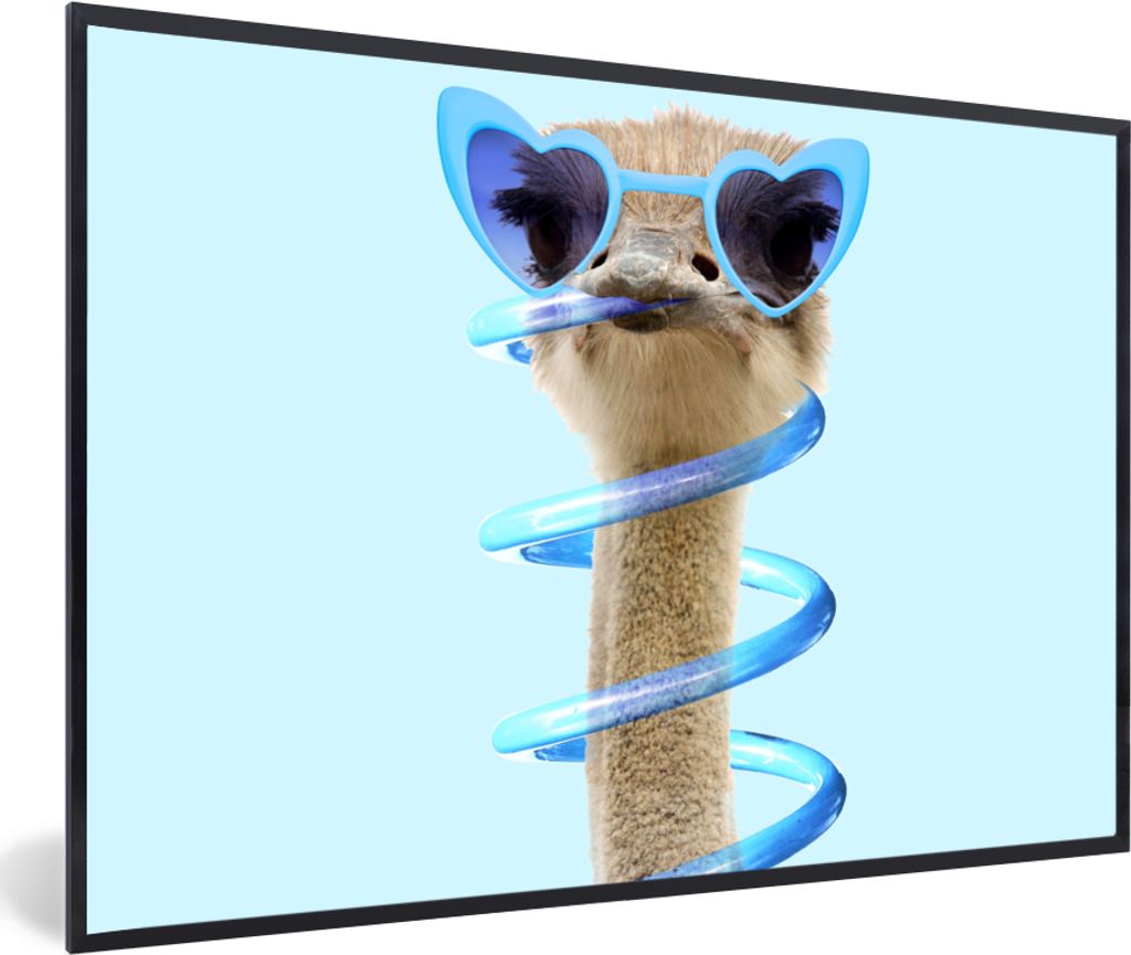 MuchoWow Gerahmtes Poster Strauß - Sonnenbrille - Blau - Tiere 30x20 cm - Poster mit Schwarzem Bilderrahmen Wandposter Rahmen Foto Bilder - Kuns...