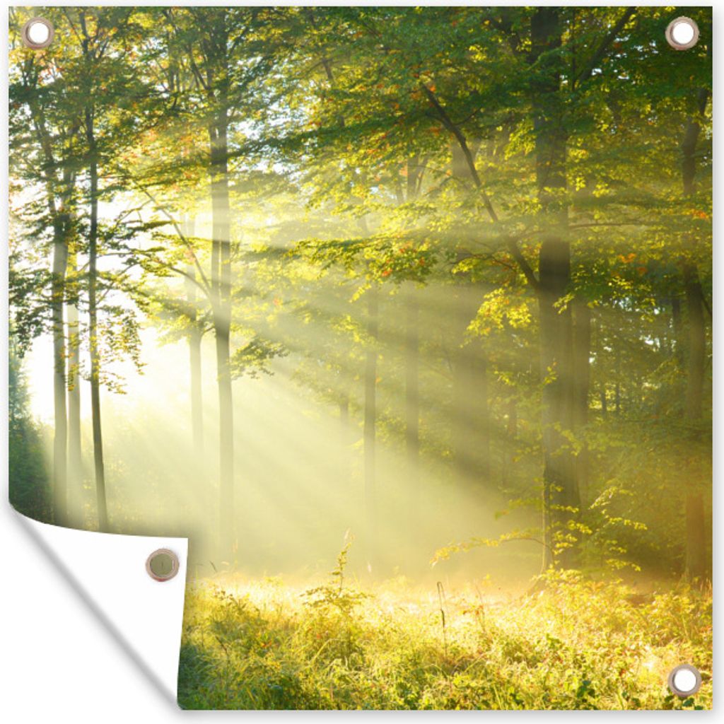 MuchoWow 100x100 cm Outdoor-Poster Gartendeko Sichtschutz Garten Poster für den Garten Wald - Licht - Frühling