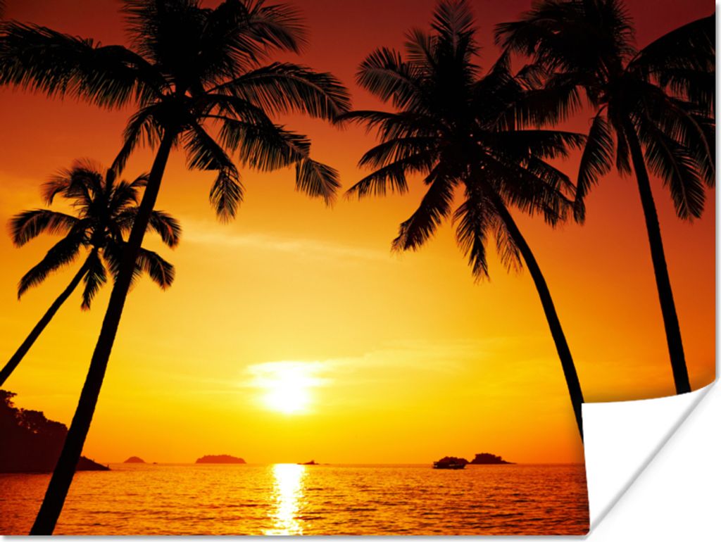 MuchoWow Poster Palme - Sonnenuntergang - Strand - Orange - Tropisch 120x90 cm - Wandbild