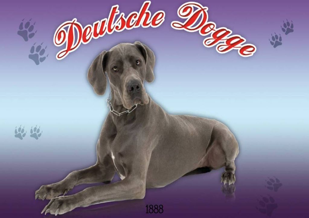 vianmo Holzschild 30x40 cm Hund Deutsche Dogge 1888