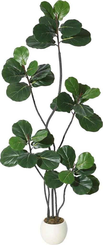 Künstlicher Geigenfeigenbaum - Ficus lyrata - Größe 4XL - PE Material - Für Außenbereich - Bodenaufstellung - 1 Stück - Milchweiß