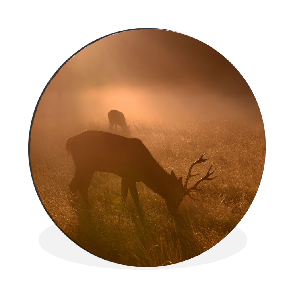 MuchoWow Aluminium Wandkreis Hirsche - Nebel - Wald Ø 30 cm Wanddeko Modern Wohnzimmer - Wand Bild - Wohnzimmer - Runde Bilder - Alubilder - Kun...