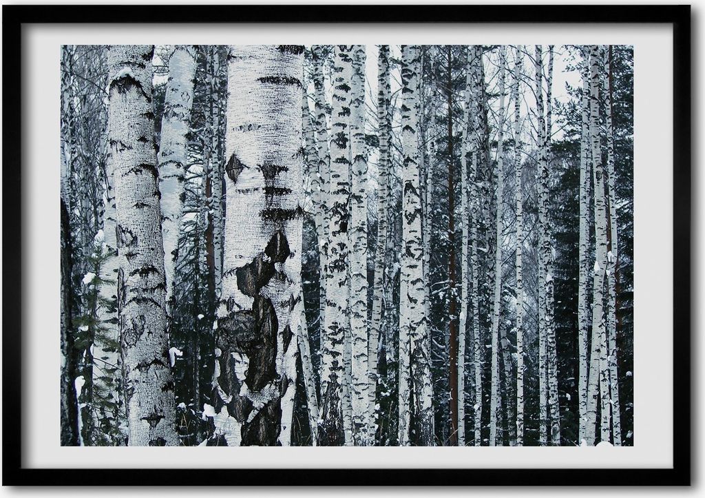Bild - Bilder - Bilderrahmen - 70 cm x 50 cm - MDF-Rahmen, Wandkunst Birke