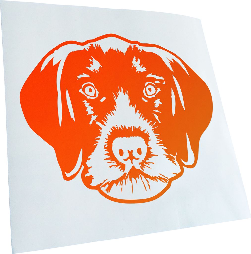 Kiwistar - Autoaufkleber - German wirehaired pointer Hund - Neonorange - 24x20cm - Aufkleber für Auto, Laptop, Fahrrad, LKW, Motorrad mehrfarbig J...