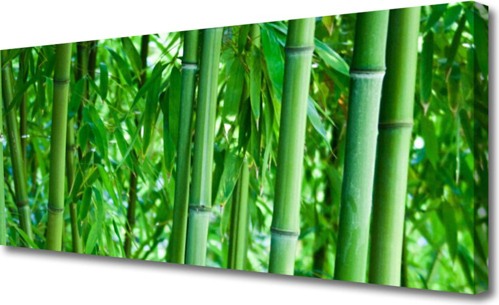 Tulup Leinwand-Bilder 125x50 Wandbild Canvas Kunstdruck Bambusrohre Pflanzen
