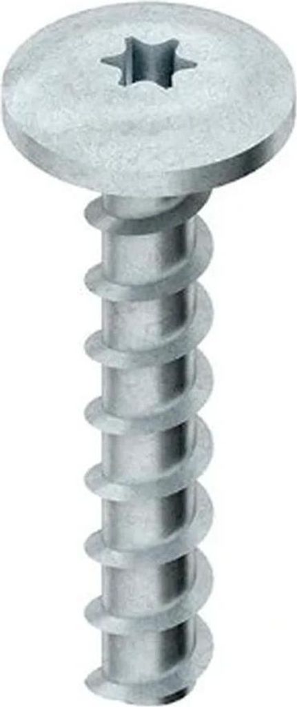 Kleinhuis Schraubanker E00, Flachkopf groß, Bohr Ø6mm, Länge 40mm, Torx T30, 1 Stk.