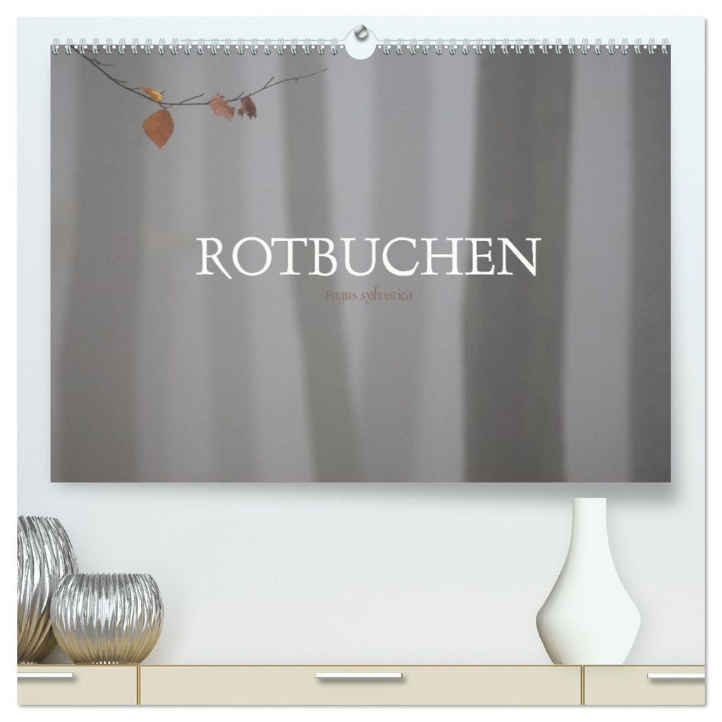 Rotbuchen (hochwertiger Premium Wandkalender 2026 DIN A2 quer), Kunstdruck in Hochglanz
