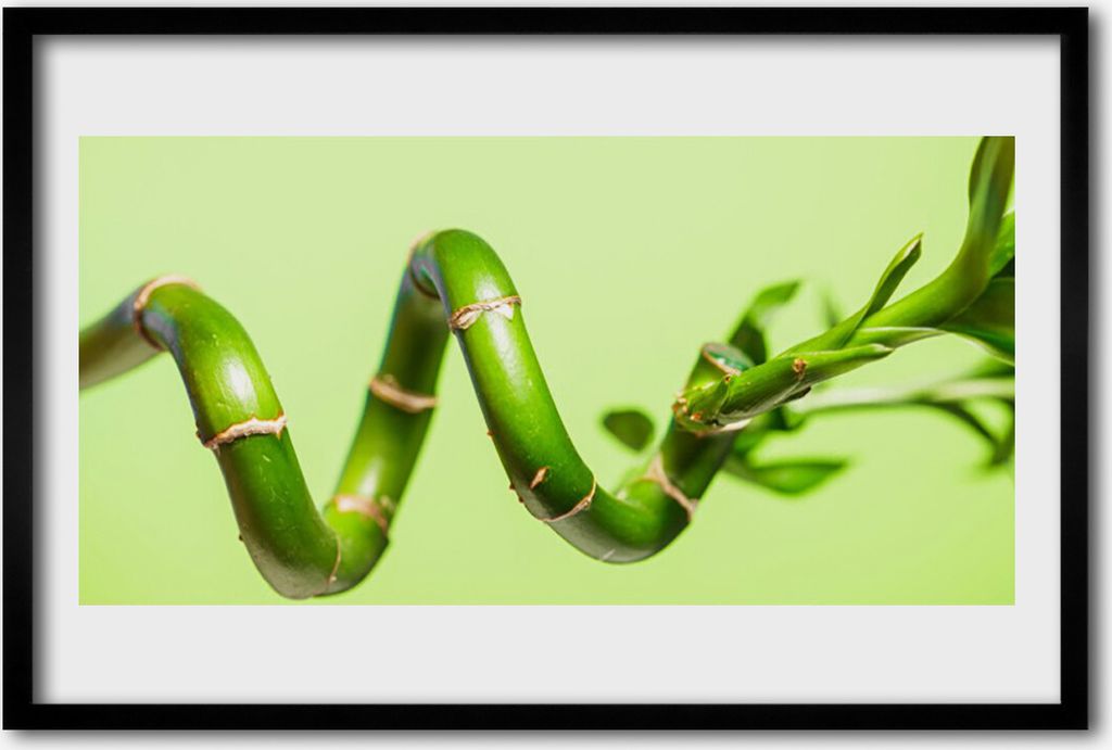 Bild 60x40 MDF-Rahmen Wandkunst Bambuspflanze Natur