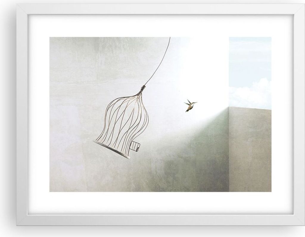Gerahmtes Poster - Weißer Rahmen - Flug Vogel Käfig - 40x30 cm - Wand Bild - Wanddeko - Wandbilder - Kunstposter - Wandposter - Bilderrahmen - Bi...