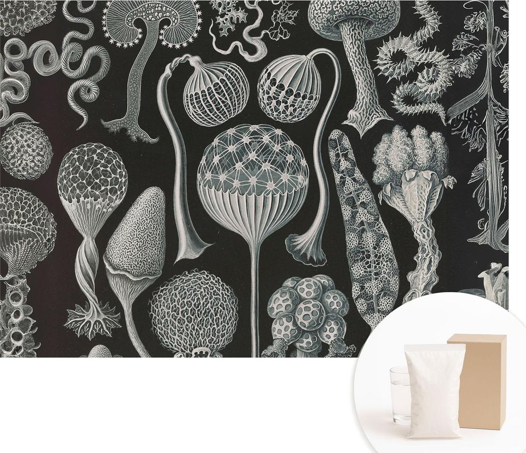 Fototapete - Wandbilder für Wohnzimmer - 312x219 cm - Dekorative Wandfolie - Modernes Design für Wanddekoration - Tapeten für Innenräume - Magi...