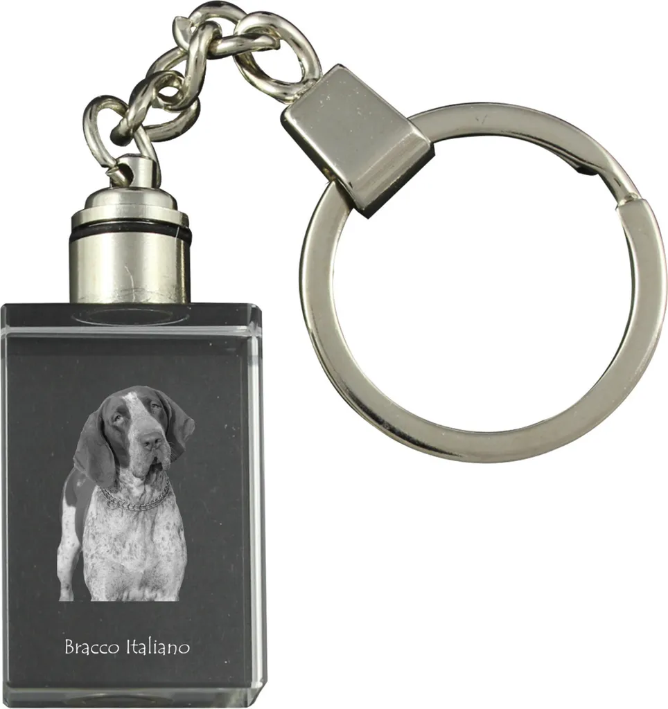 Gadget High-Tech Cane: Portachiavi Cristallo Segugio Italiano LED