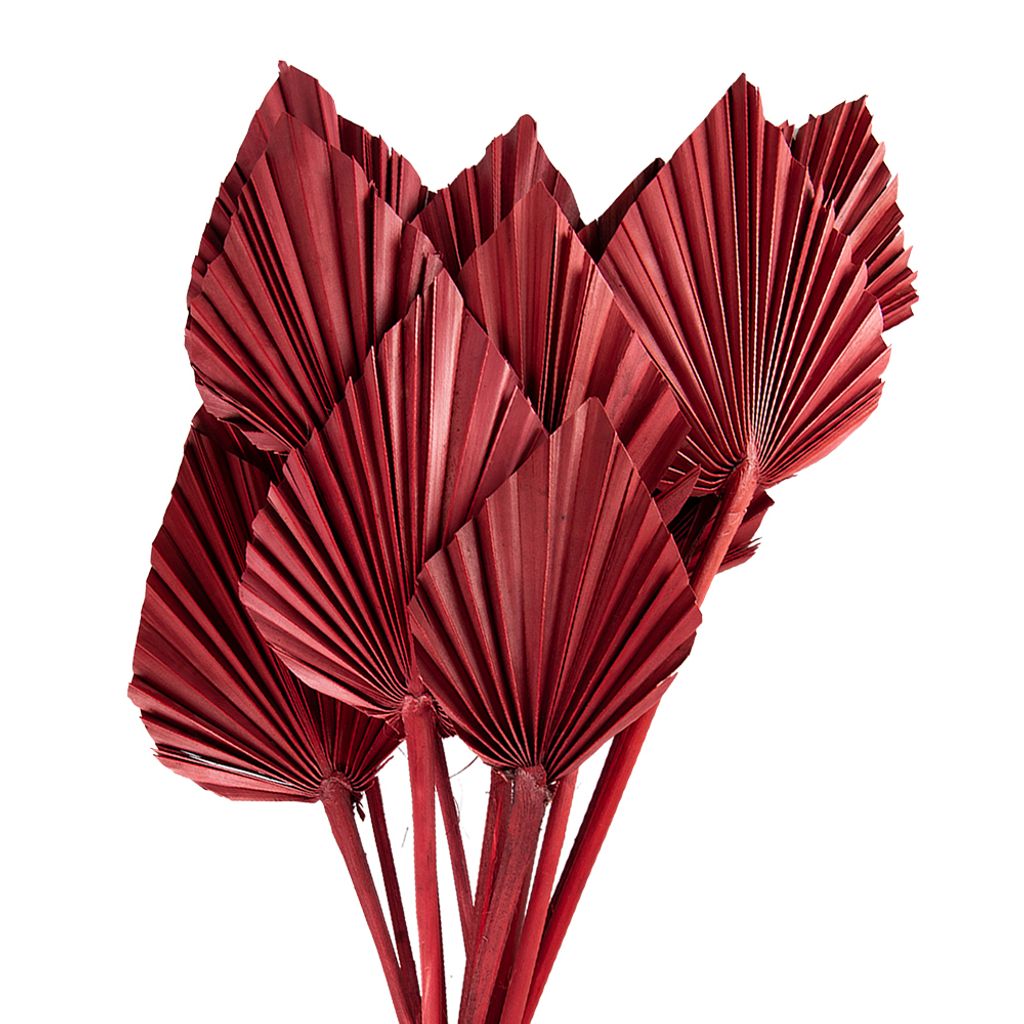 Clayre & Eef Trockenblumen 60 cm Rosa Trockenblumen