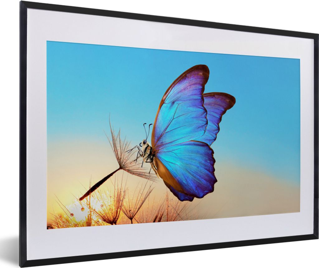 MuchoWow Gerahmtes Poster Schmetterling - Löwenzahn - Blau 60x40 cm - Poster mit Schwarzem Bilderrahmen Wandposter Rahmen Foto Bilder - Schlafzi...