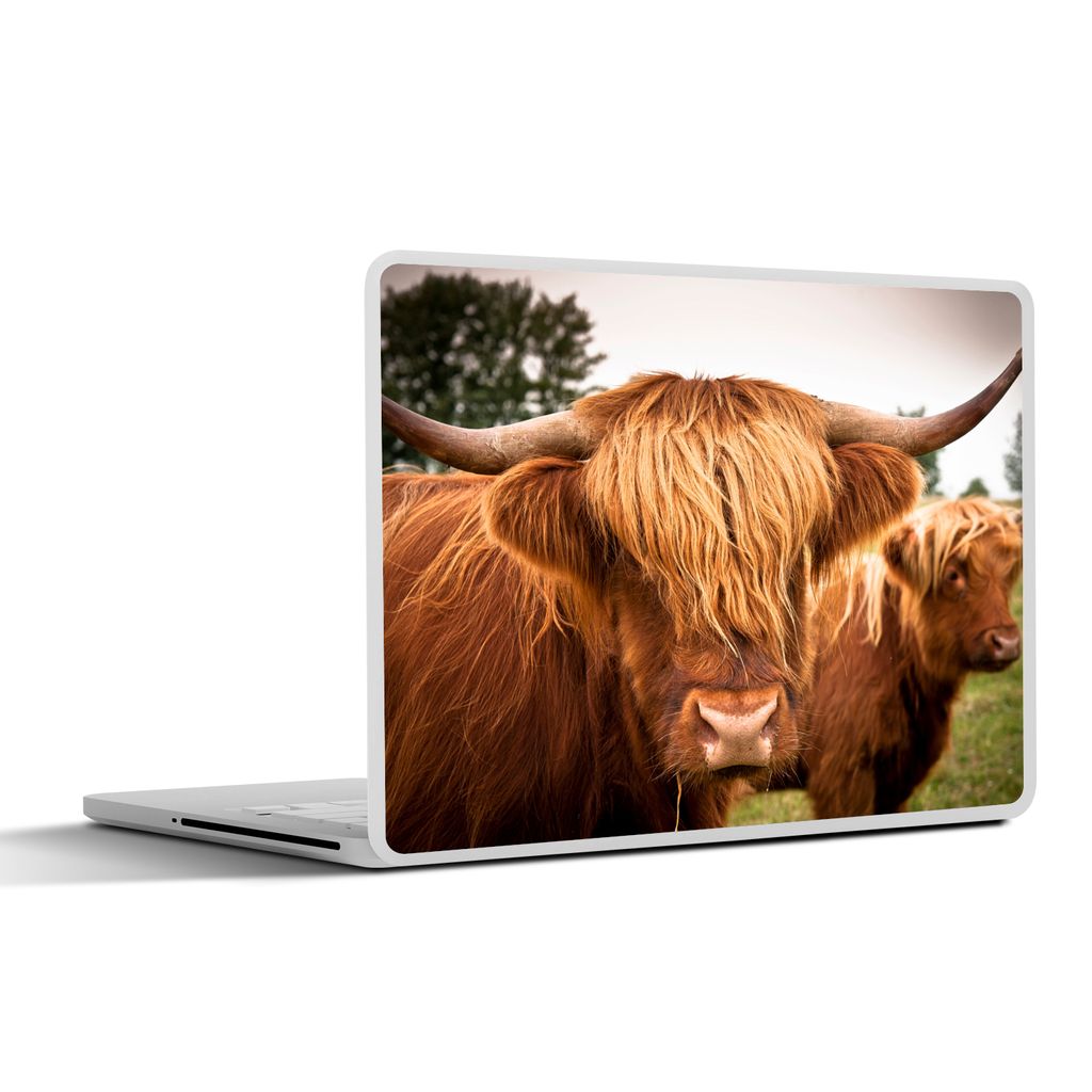 MuchoWow Laptop Aufkleber Sticker Cover Schottische Highlander - Braun - Gras 25x18 cm - Laptop-Deko