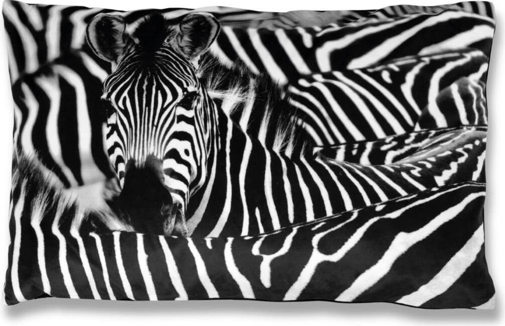 Kissenhülle Fotodruck 2er Pack, Zebra 40x60cm