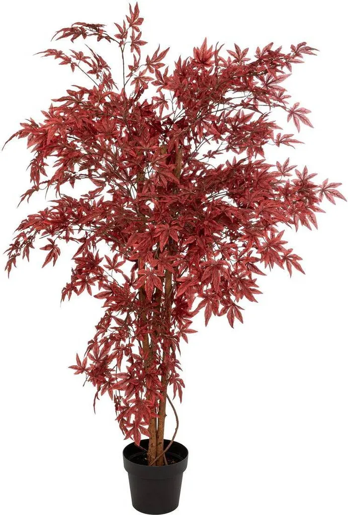 Acero Rosso Artificiale James 150cm | Atmosphera Créateur d'intérieur
