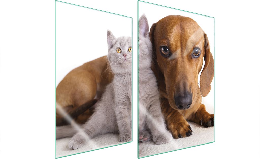 Herdabdeckplatten 2 teilig 35x52 Glaskeramikkochfeld Abdeckung Glas Schneidebrett Katze Hund